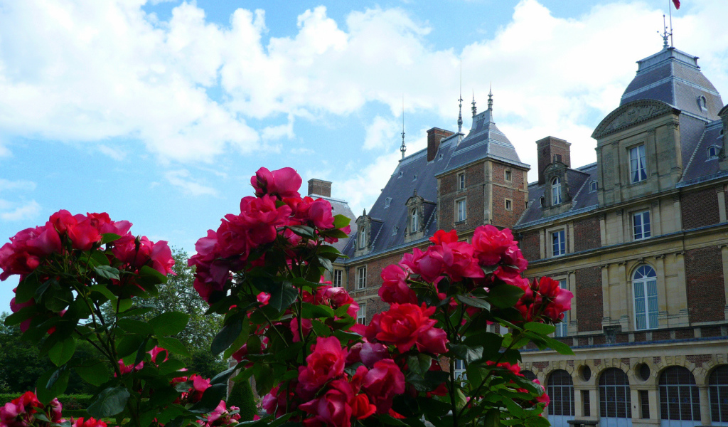 Цветы в Нормандии, Франция