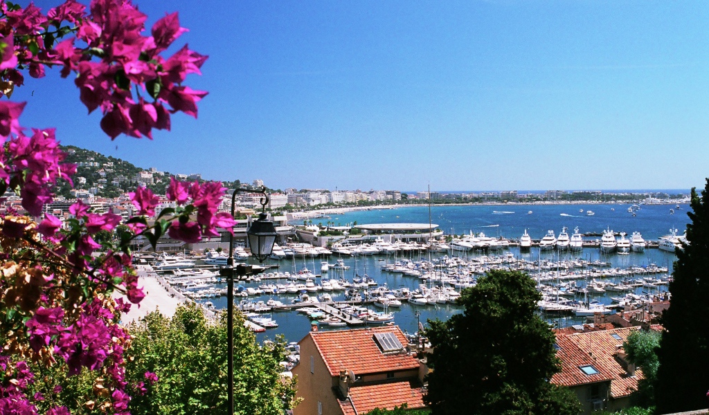 Цветы на фоне порта в Каннах, Франция