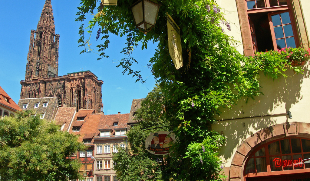 Зелень в городе Страсбург, Франция