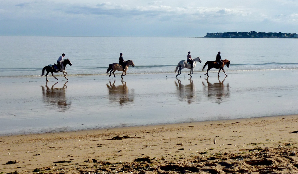 Конная прогулка на курорте Ла Боль, Франция