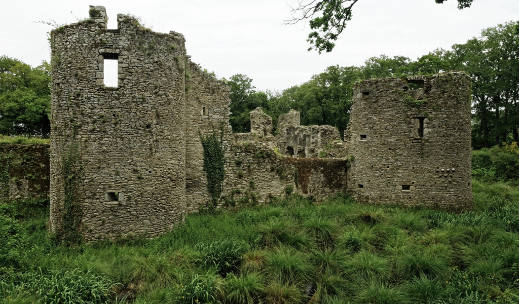 Руины замка в Бретань, Франция