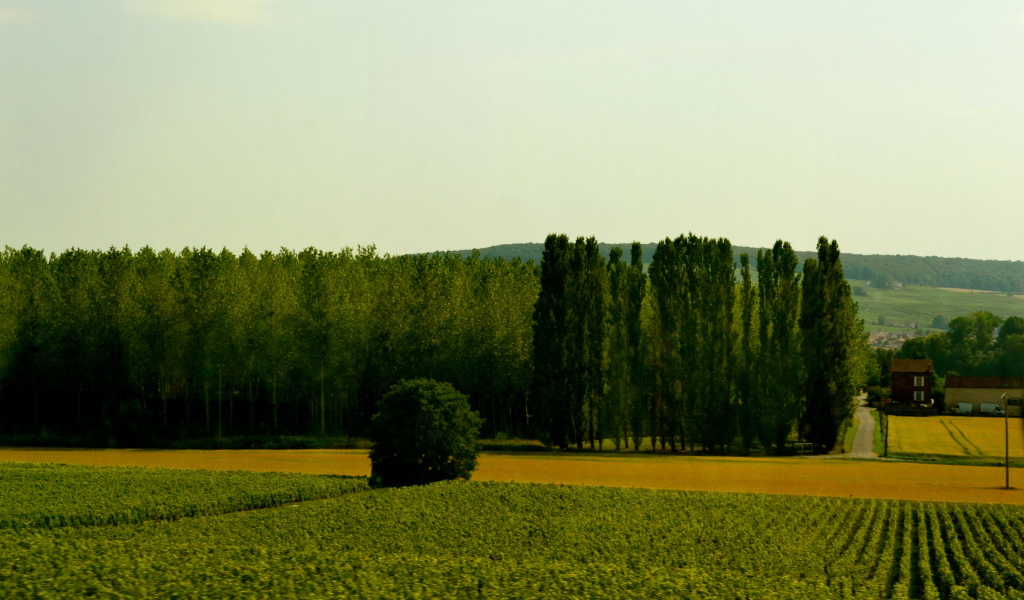 Сельский пейзаж в провинции Шампань, Франция