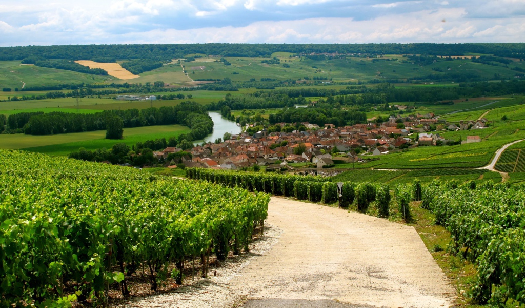 Дорога в провинции Шампань, Франция