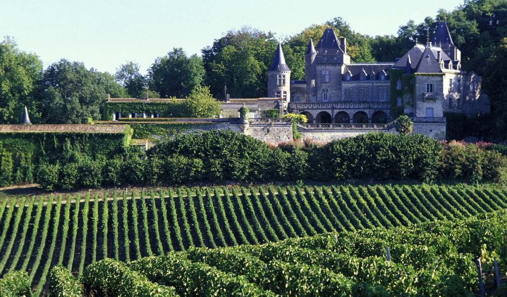 Виноградники в Бордо, Франция