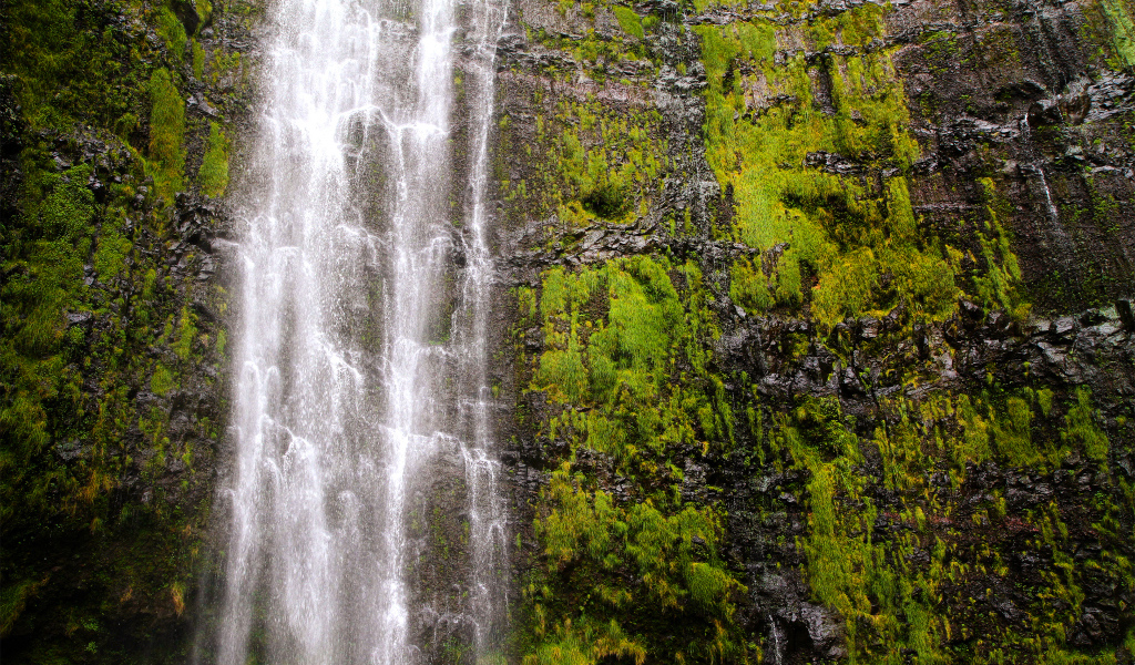 Красивый водопад Ваймоку на острове Мауи, Гавайи