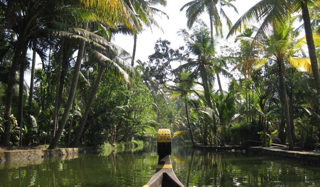 Прогулка на лодке в Алапуже