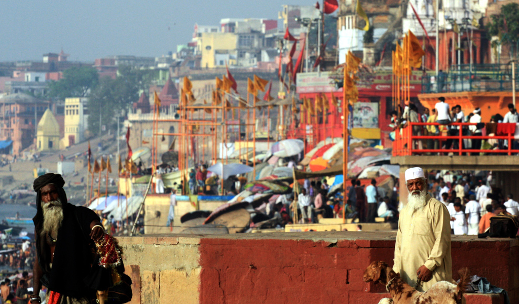 Житель Варанаси с козами