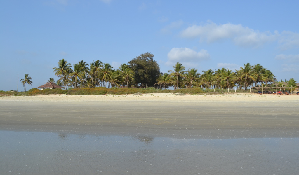 Осенний отпуск в Бенаулиме