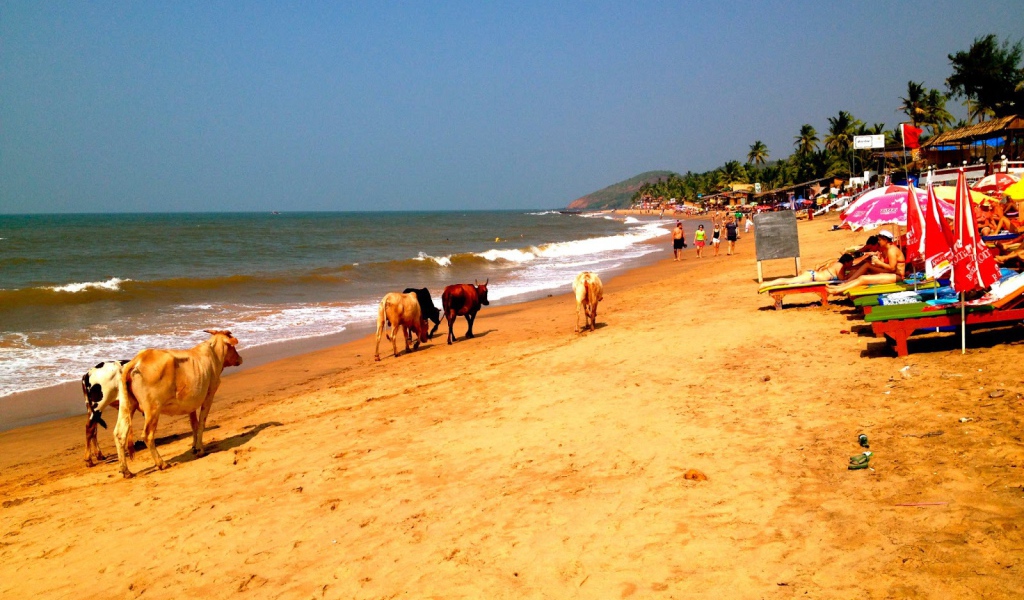 Пляжи в Анджуне