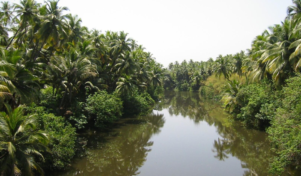 Красивая природа Гоа