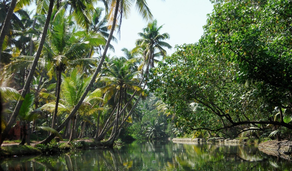 Красивая природа в Алапужа