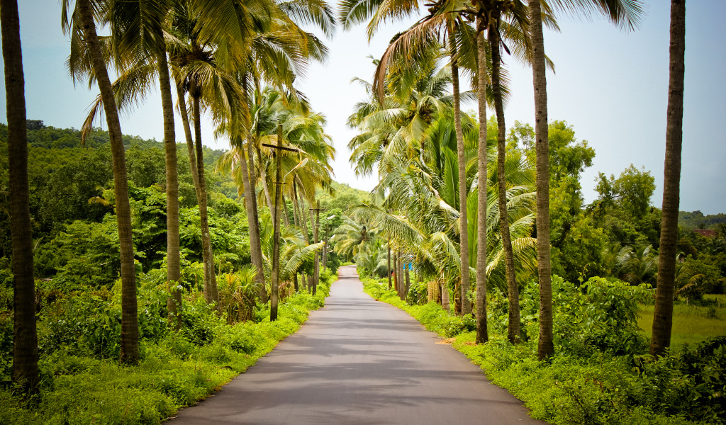 Красивые улицы в Гоа