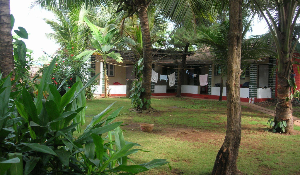 Красивые деревья в Бенаулиме