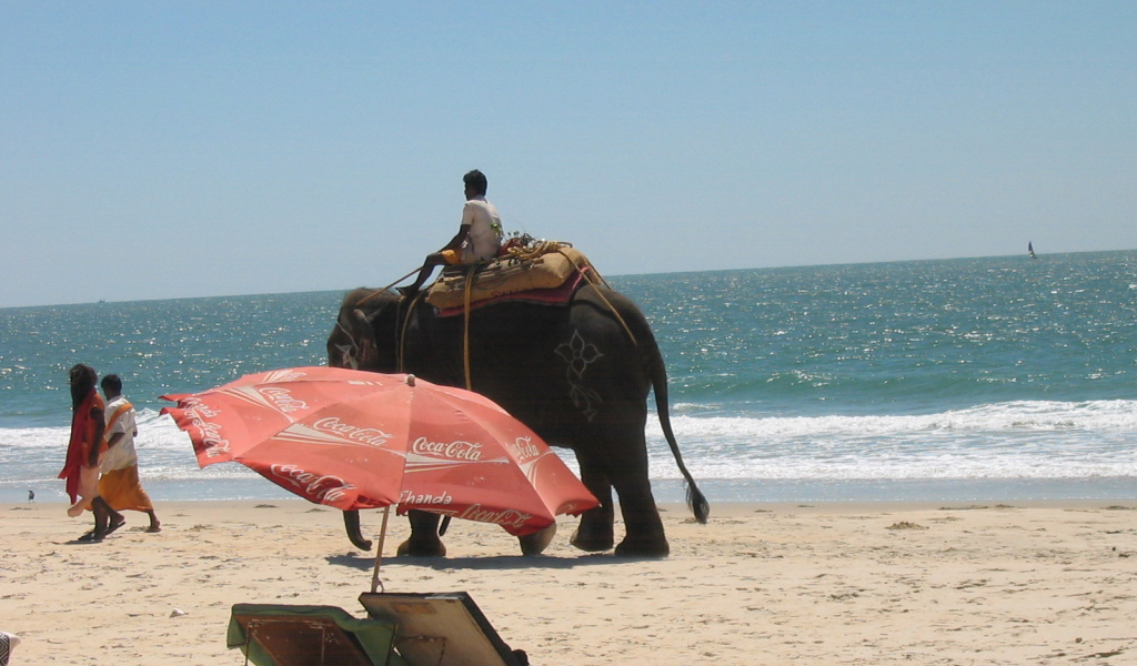 Слон на пляже в Бенаулиме