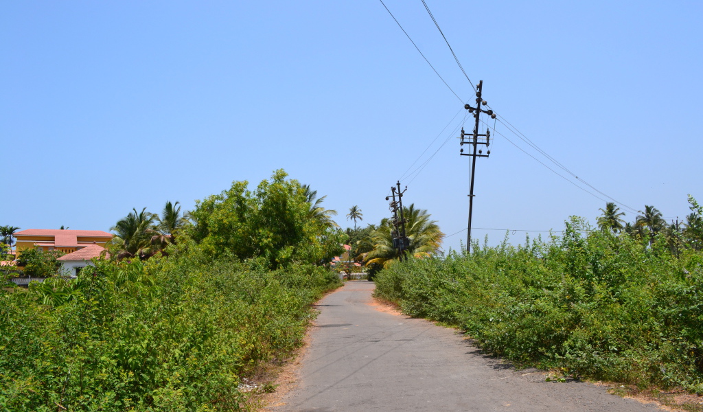 Природа в Бенаулиме