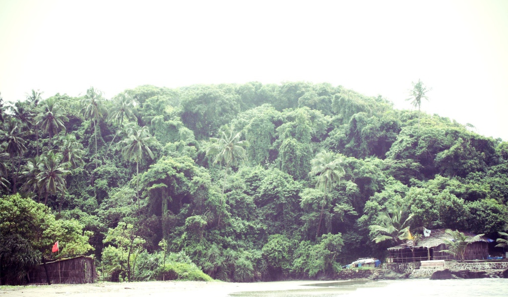 Природа в Вагаторе