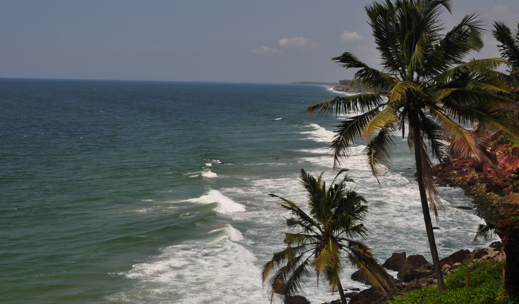 Пальмы на побережье Варкалы
