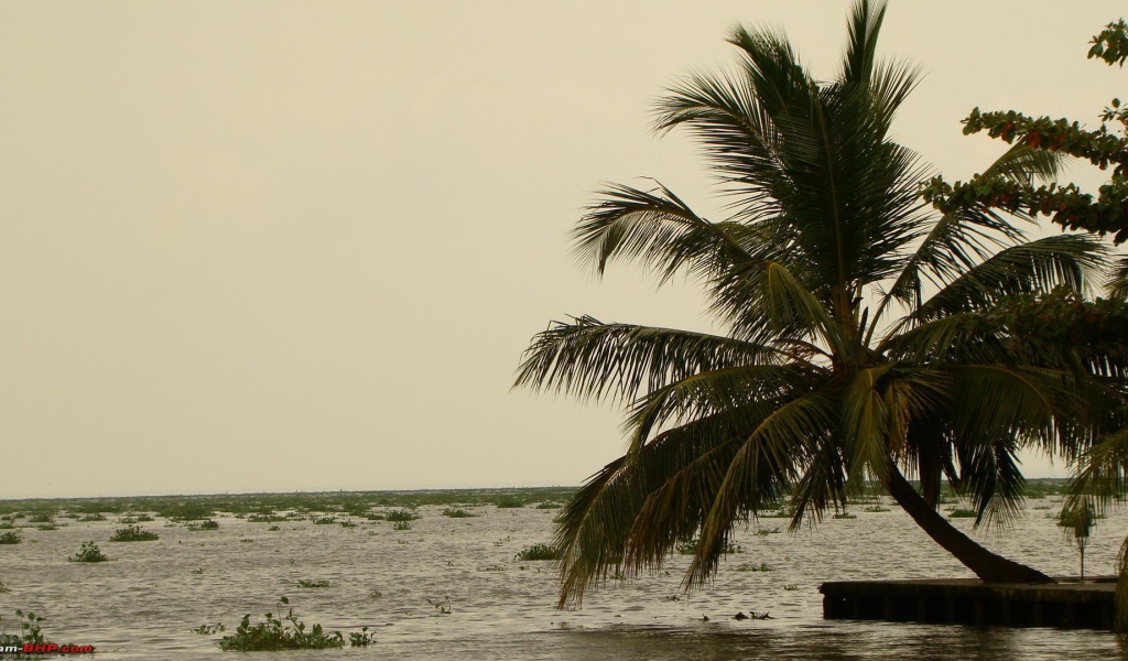Весенний отпуск в Алапуже