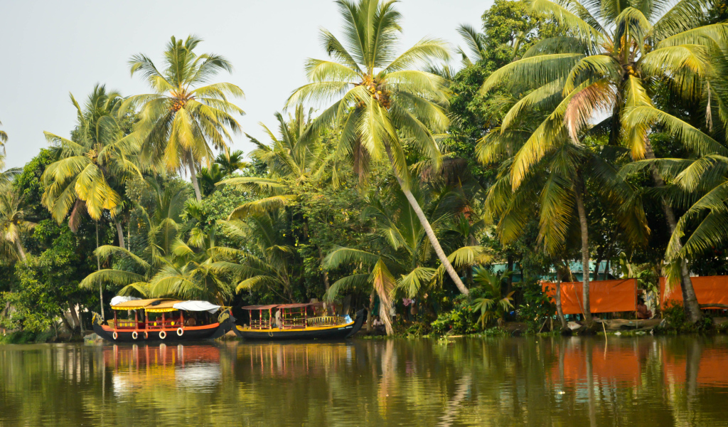 Летний отпуск в Алапуже