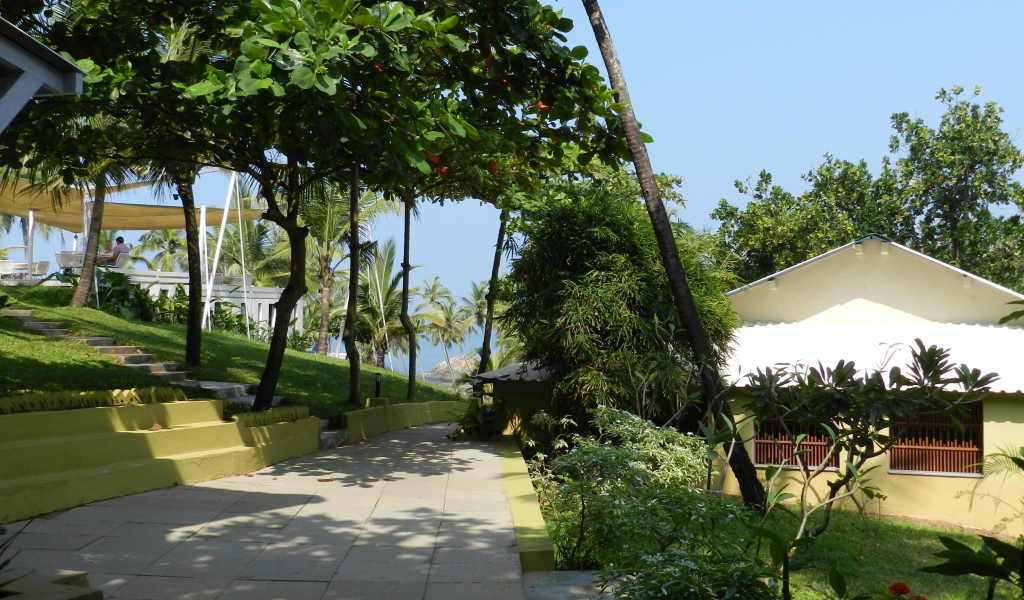 Летний отпуск в Анджуне