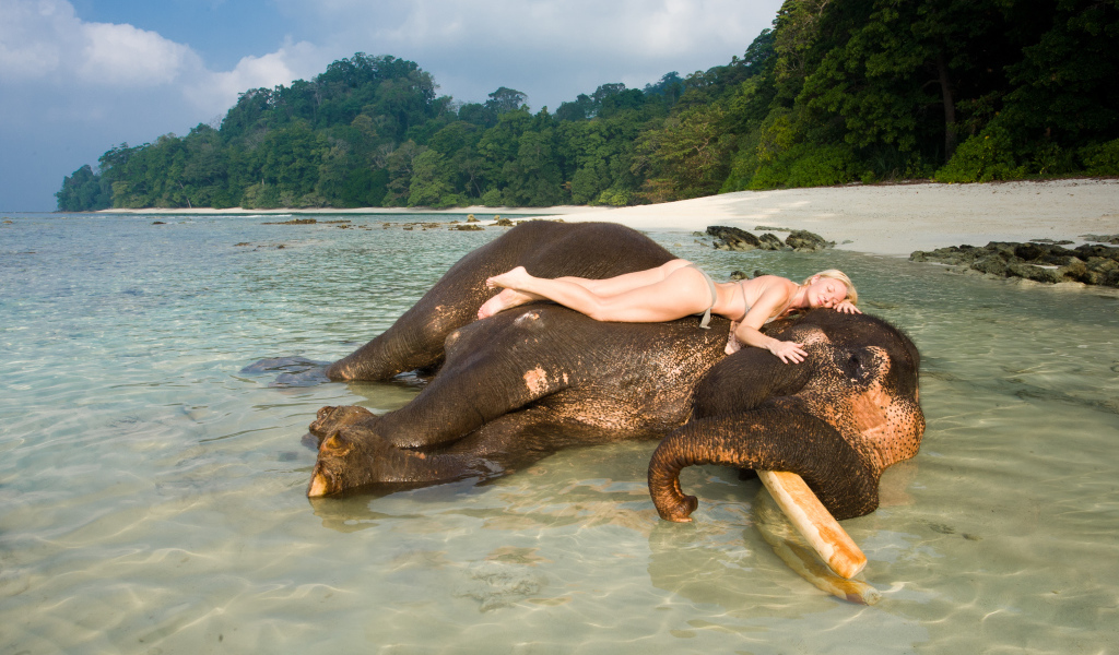 Девушка на слоне на Андаманских островах