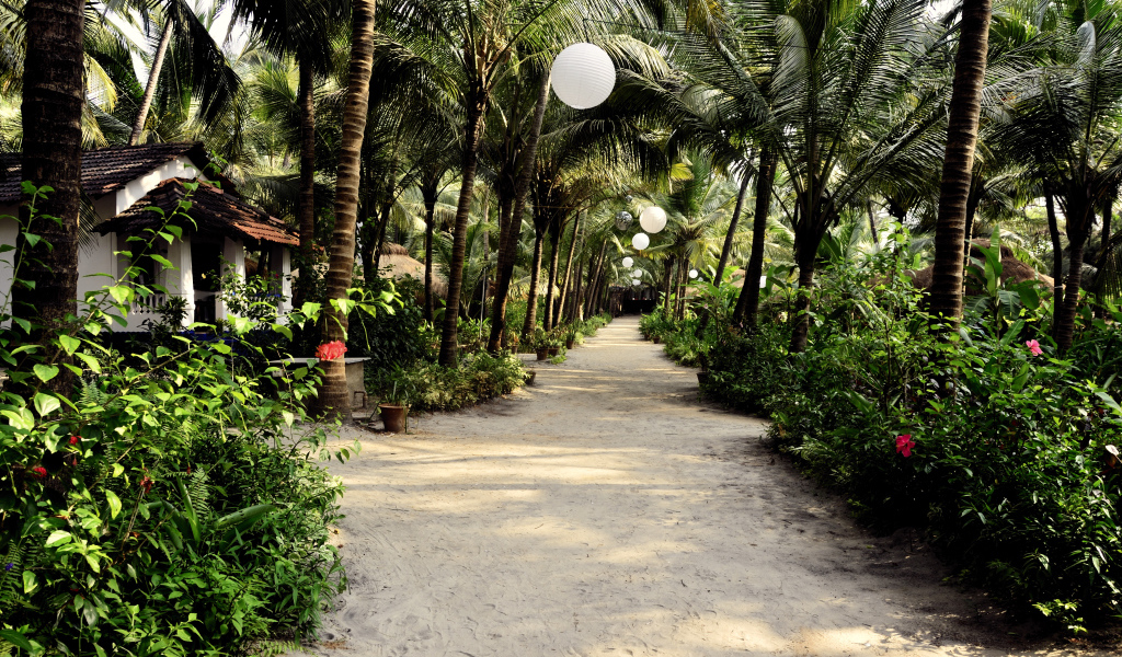 Прогулка по улицам Ашвема