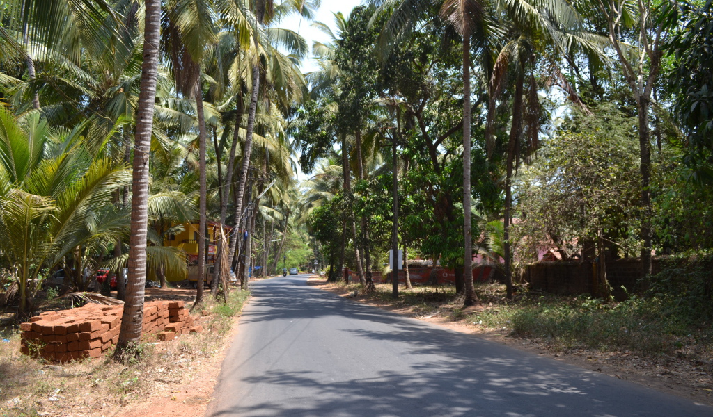 Прогулка по улицам Бенаулима