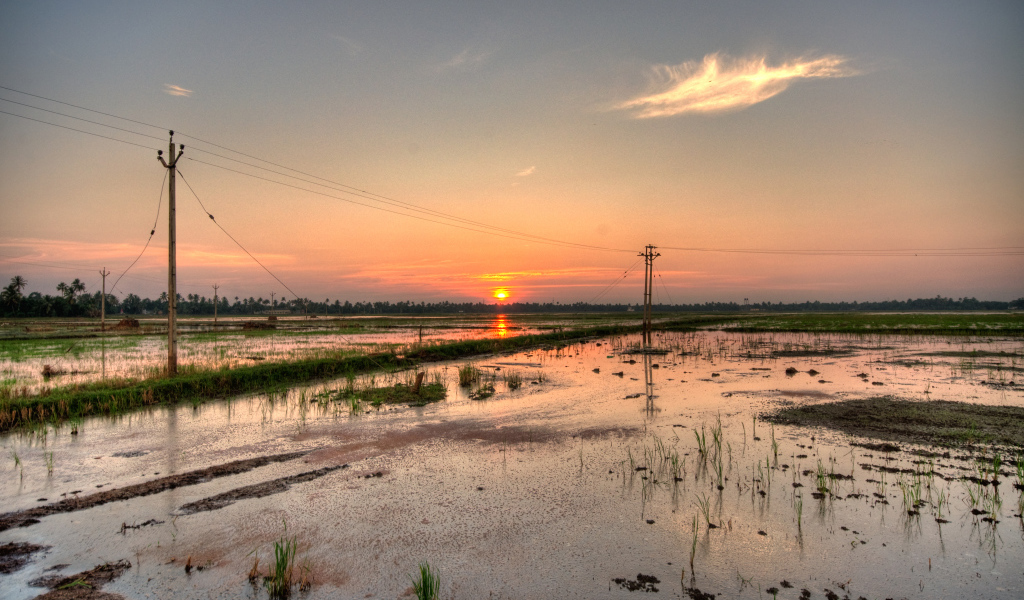 Водная местность в Алапуже