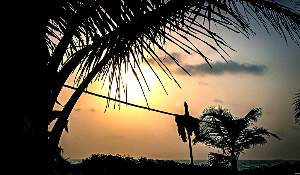 Чудесные закаты в Гоа