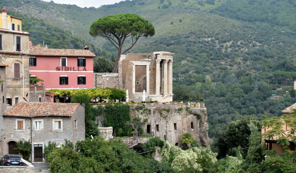 Гнездо хищной птицы в Тиволи, Италия