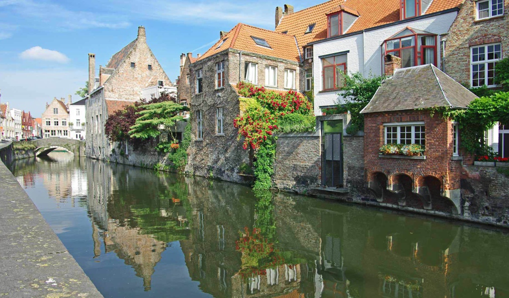 Цветущие растения в Венеции, Италия