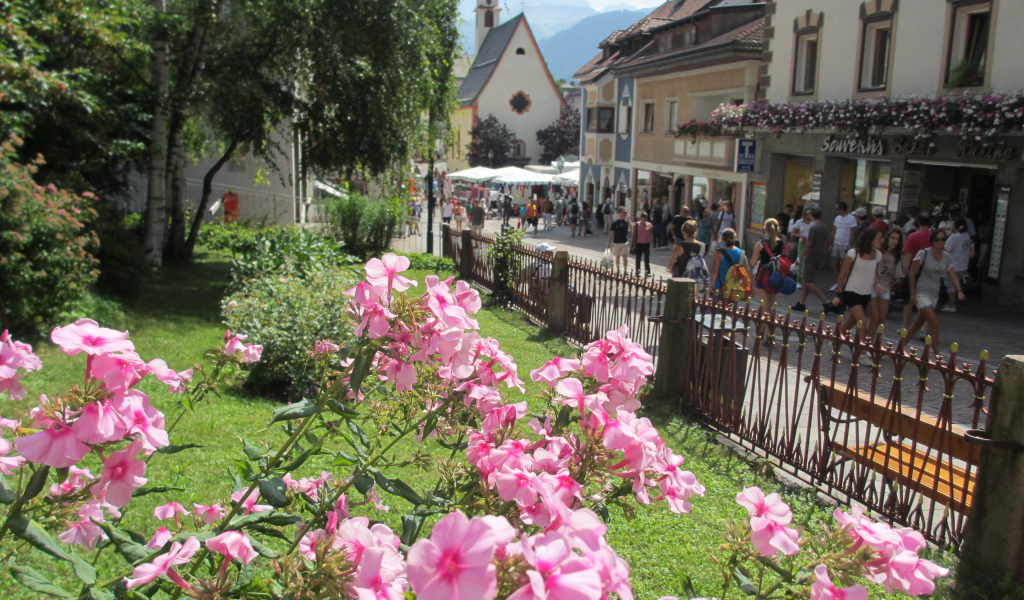 Цветы на клумбе на курорте Ортизей, Италия