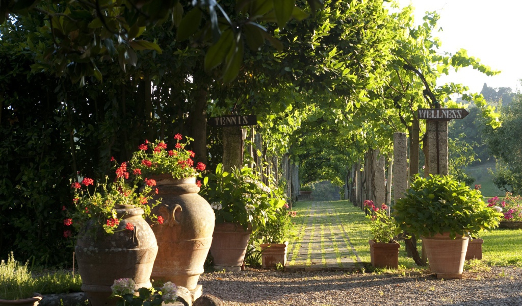 Зеленая аллея в Сиене, Италия