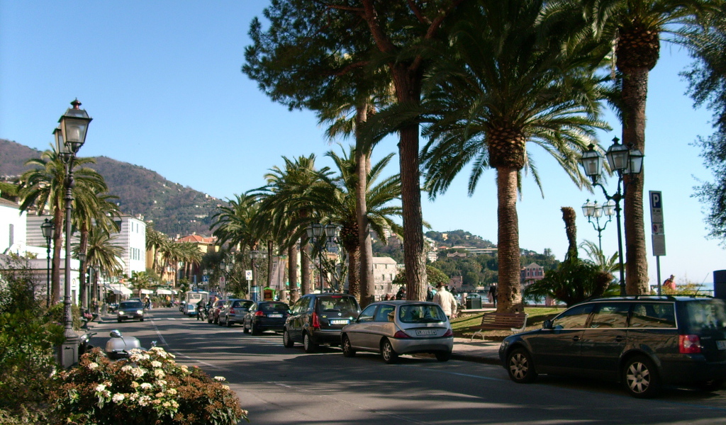 Пальмы на набережной на курорте Рапалло, Италия