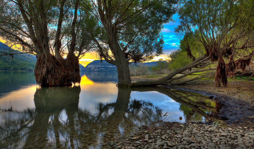 Деревья в озере, Абруццо, Италия