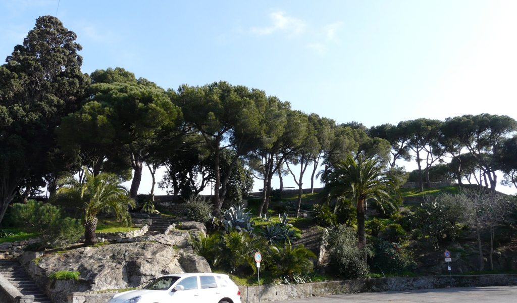 Деревья на побережье на курорте Бордигера, Италия