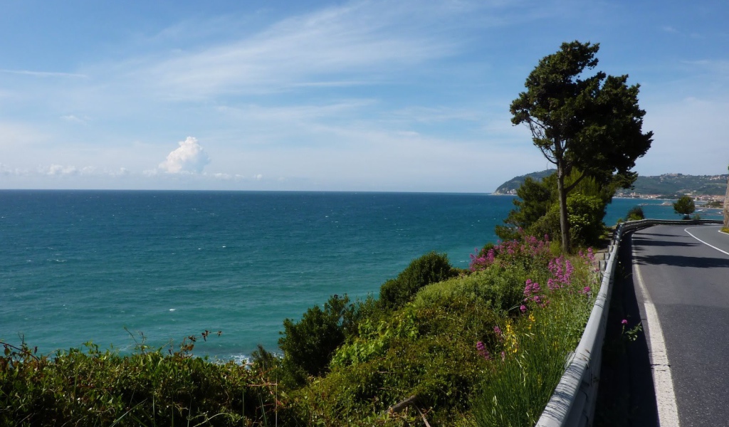 Деревья на набережной в Санто Стефано аль Маре, Италия