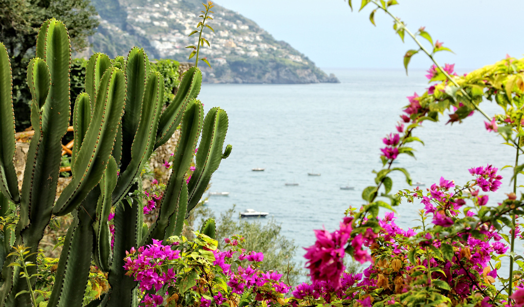 Вид со склона горы на залив на курорте Позитано, Италия