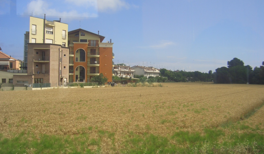 Пшеничное поле в Сан Марино, Италия