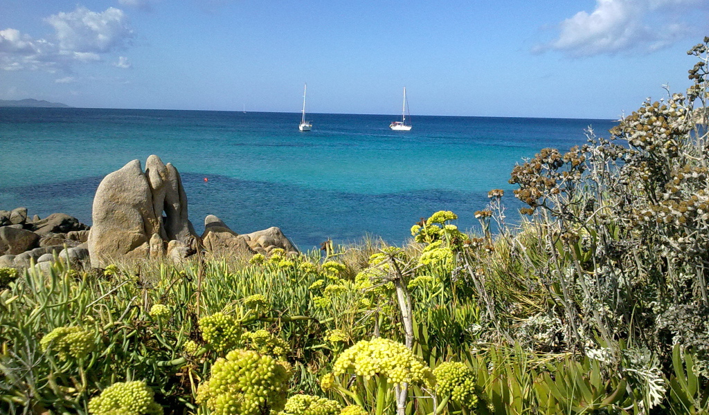 Яхты в заливе на курорте в Пьетра Лигуре, Италия