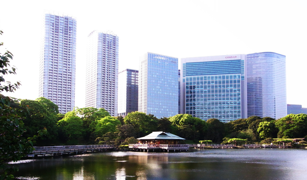 Озеро на фоне зданий в Токио