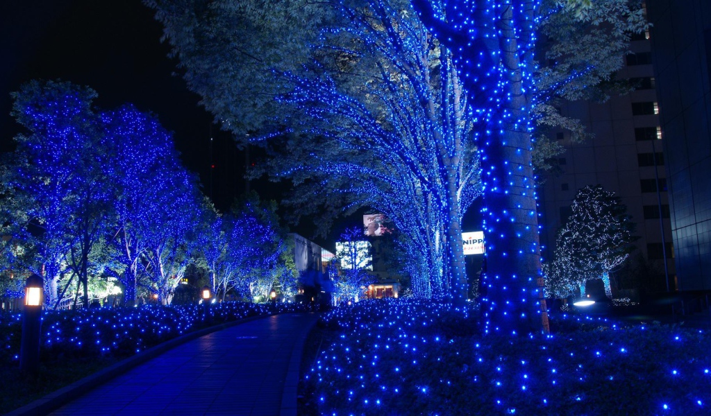 Деревья в парке в Токио