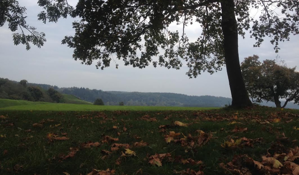 Осень в Кернаве, Литва