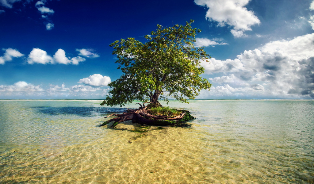 Потрясающое Мексика