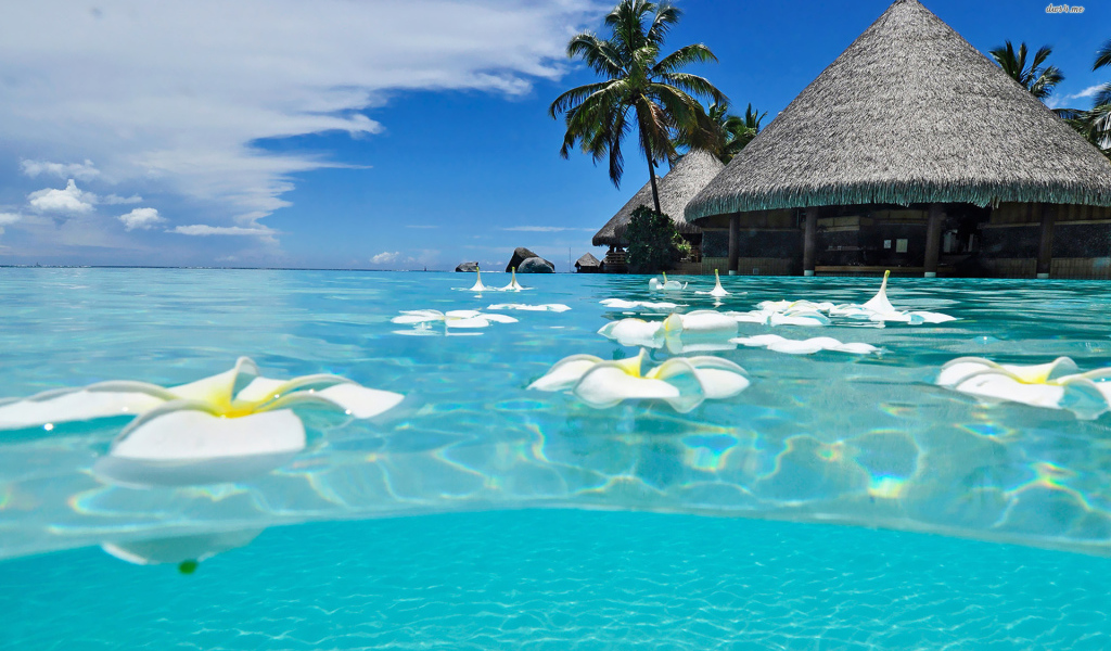 Популярная страна Мексика