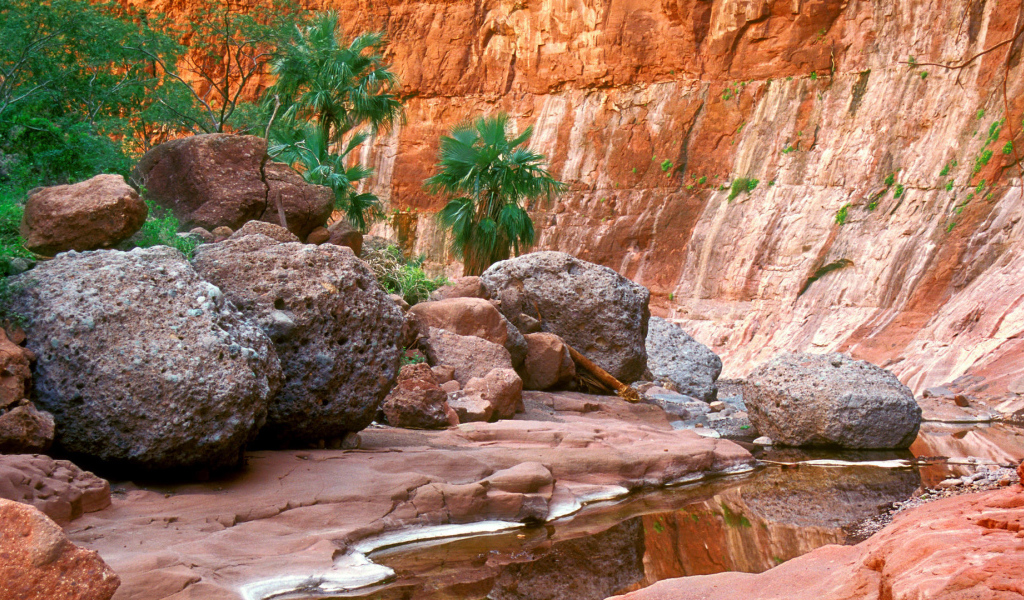 Гран-Плас в Мексика