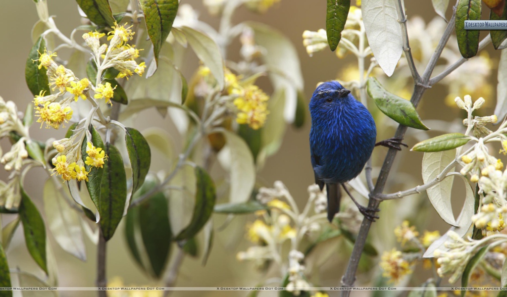 Захватывающие дух Перу