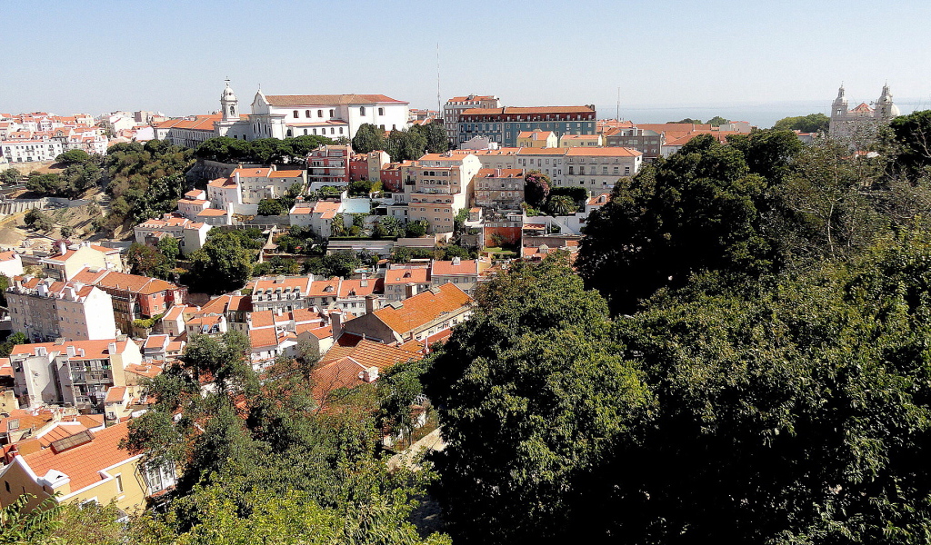 Деревья на фоне Лиссабона