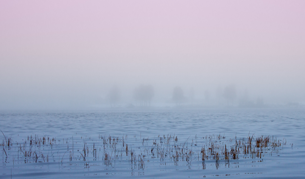 Туман в Швеции