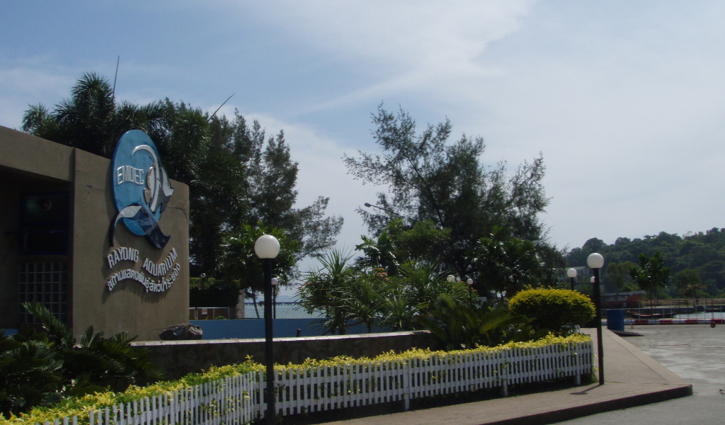 Аквариум на курорте Районг, Таиланд